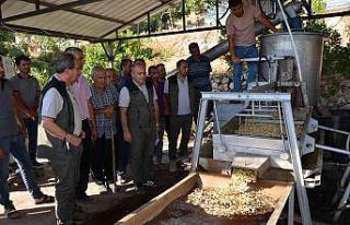 Orman Bölge Müdürü Yalçın, Mut’taki sahalarda...