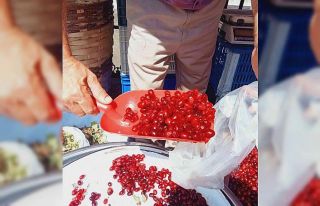 Orman ve dere yataklarından toplanan kızılcık,...