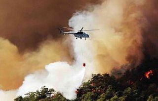 “Orman yangınlarının yüzde 87’si insan kaynaklı”