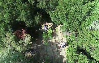 Ormana uyuşturucu diktiler, dron ile yapılan operasyonda...