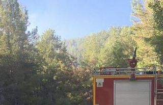 Ormanlık alanda çıkan yangın korkuttu