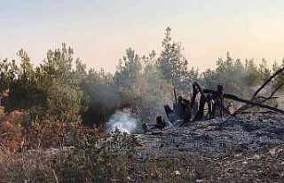Ormanlık alandaki örtü yangını büyümeden söndürüldü