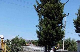 Ortaca’da ortak yaşam alanlarında kuru otlar temizleniyor