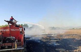 Osmaniye’de çıkan anız büyümeden söndürüldü