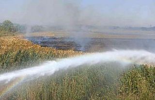 Osmaniye’de çıkan anız yangını söndürüldü