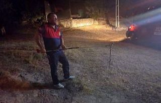Osmaniye’de eve giren yılanı itfaiye yakaladı