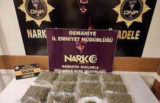 Osmaniye’de uyuşturucu operasyonlarına 6 tutuklama