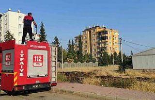 Ot yangını ikametlere sıçramadan söndürüldü