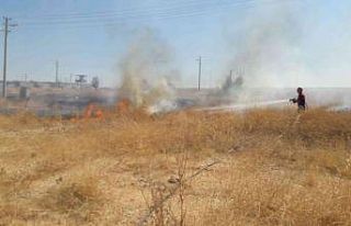 Otluk alanda çıkan yangın paniğe neden oldu