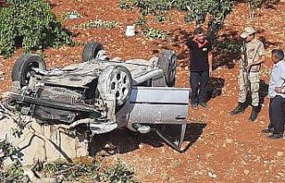 Otomobil fıstık bahçesine yuvarlandı