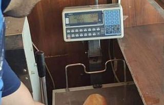 Özalp ilçesinde iş yerleri denetlendi