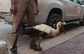 (ÖZEL) Eskişehir’de kursağında çöp kalan kör...