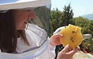 (ÖZEL) İlk hasat heyecanı