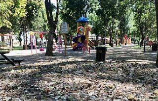 (ÖZEL) Kuş dışkıları bu hale getirdi