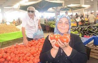 (ÖZEL) Salçalık domates ve biber sezonu başladı