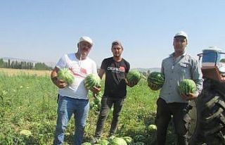 Pandemi döneminde işsiz kalan adamdan başarı dolu...