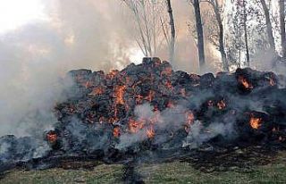 Pasinler’de ot yangını