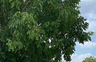 Pazaryeri’nde traktör ile motosiklet çarpıştı;1...