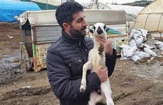 Pendik’te kaybolan adamın cesedi 5 yıl sonra toprağa...
