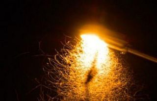 Pervane böceklerinin ışıkla dansı