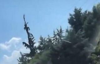 Pes artık.. Gelin arabasından havaya 15 el ateş...