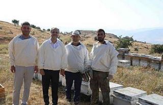 Rektör, bal hasadını yaptı