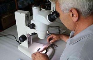 Rizeli akademisyenler dünya balık faunası için...