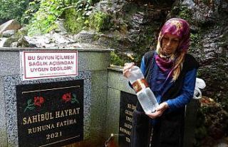 Rizelilerin yıllarca "şifalı" diye içtikleri...