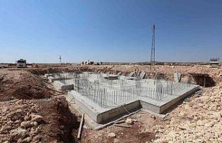 Şahin, Gazikonut çalışmalarını inceledi