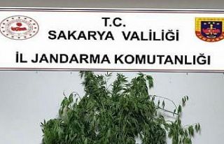 Sakarya’da 300 litre kaçak akaryakıt ele geçirildi