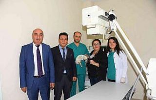 Salihli Belediyesi’nden "can dostlara sahip...