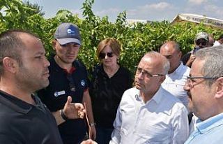 Salihli’de örnek proje tarla günü ile kutlandı