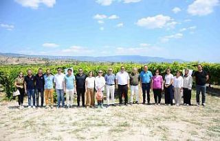 Salkım güvesiyle mücadele tarla gününde anlatıldı