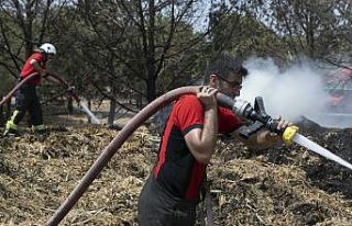 Saman balyaları alev aldı, yangın ormana sıçramadan...