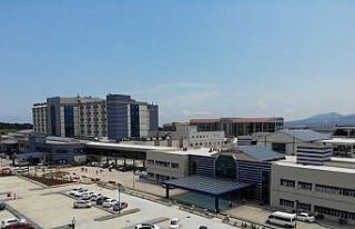 Samsun 2022’nin ilk 6 ayında nüfusunun 7 katı...