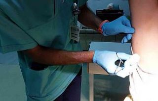 Samsun’da 8 yaşındaki çocuğa tutunan kene hastanede...