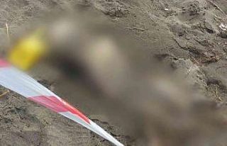 Samsun’da sahilde insan iskeleti bulundu