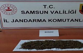 Samsun’da uyuşturucu ve kaçakçılık operasyonları:...