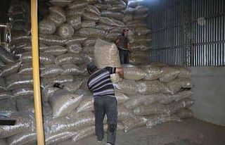 Sandıklı ile beraber 2 ilçede daha haşhaş kapsülü...