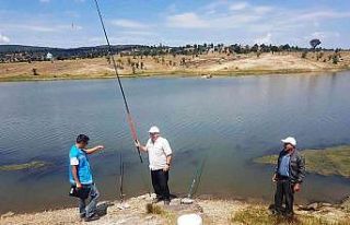Şaphane’de göletlerde su ürünleri avcılığı...