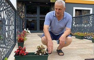 Şaşkın hırsız kamerada, yol kenarındaki çiçeği...