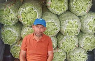 Satış fiyatı 6-7 TL’ye düşen fasulye bu kez...