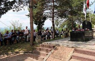 Şemsi Denizer, vefatının 23’üncü yıldönümünde...