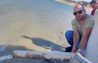 Sevişler’e 343 bin yavru sazan bırakıldı