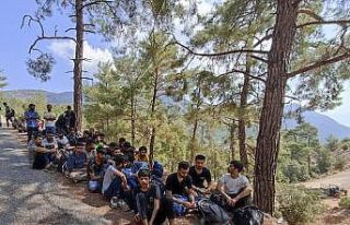 Seydikemer’de ormanlık alanda 89 düzensiz göçmen...