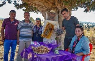 Silifke’de lavanta balı üretimi yapıldı