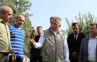 Şırnak’ta 5 yılda 249 tür yaban hayvanı tedavi...