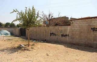 Şırnak’ta komşular vahşeti gerçekleştiren...