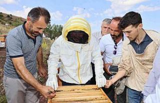 Sivas bal üretiminde zirvede