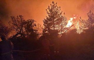 Soma’da orman yangını ile mücadeleye devam ediliyor